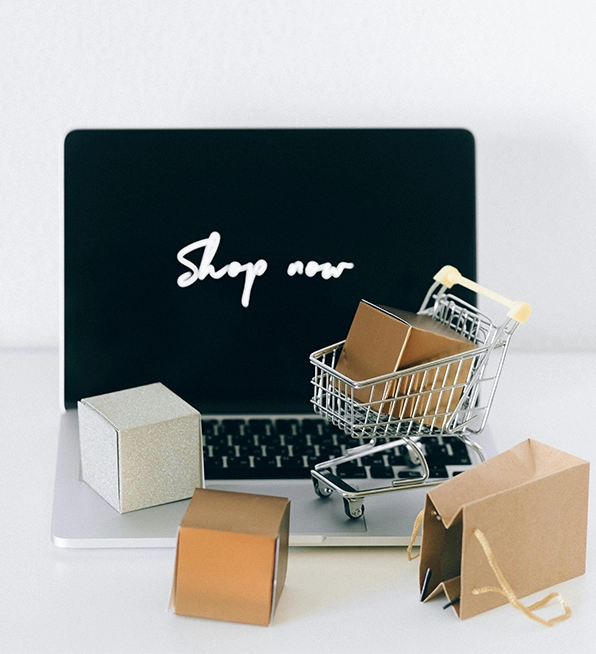 Custom ecommerce website development services, online shopping cart